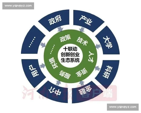 以多元发展为核心推动力构建可持续创新生态系统的路径探索